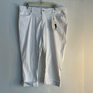 LEVI mid rise Capri GOLD label